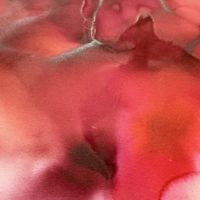 Rose Blush - Image 3