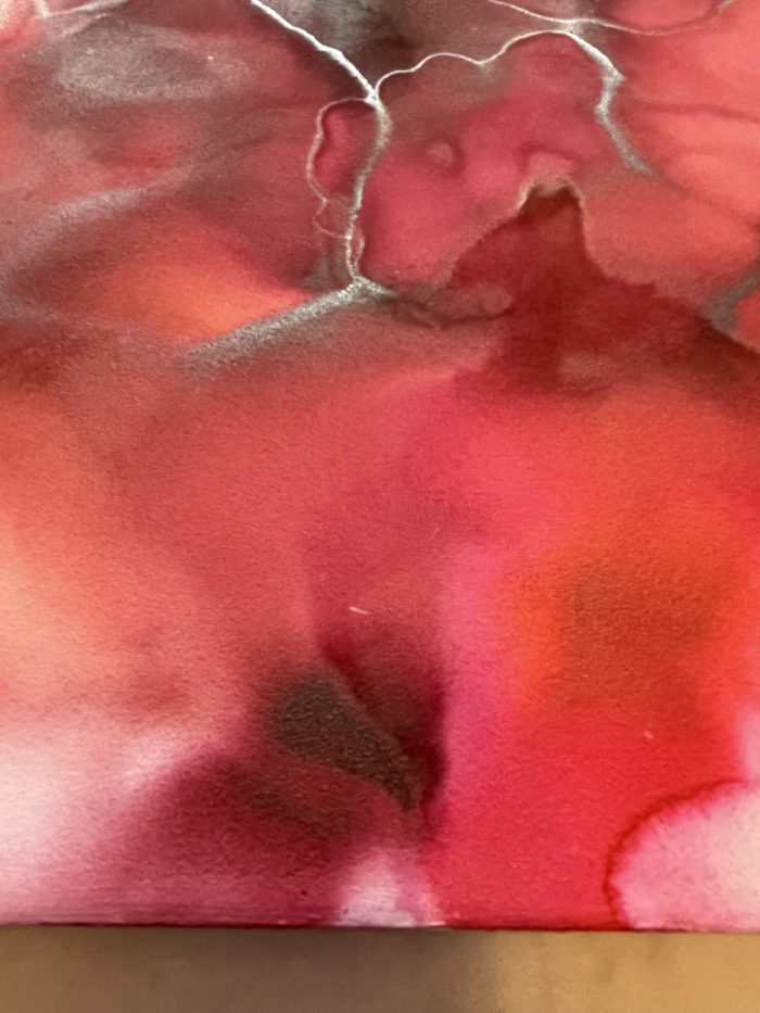 Rose Blush - Image 3